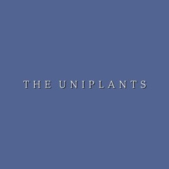 검정치마 - 나랑 아니면 (COVER) by THE UNIPLANTS