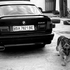 ACAB.27