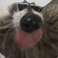 woogi