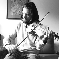Chambre du Violon Norvègien