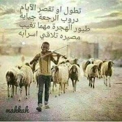 ابو منذر