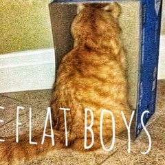 Flat Boys