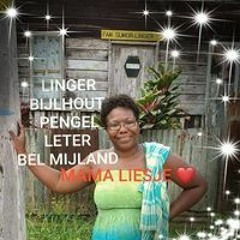 Liesbeth Bijlhout - Mijland