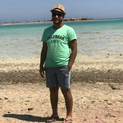 ziad adel