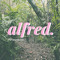 Alfred
