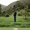 Rohith Sunny