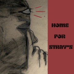 HOME FOR STRAYS