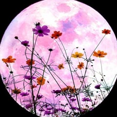 OhAhFlower
