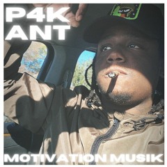 P4K ANT