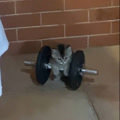 Кирилл Кириченко