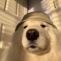 영영
