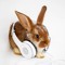 djsoftbunny