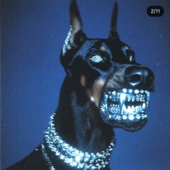 Ørphan