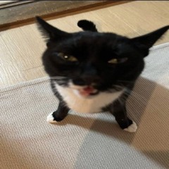 N.N