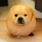 lemon dog