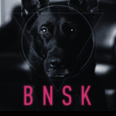 BNSK