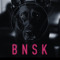 BNSK