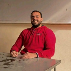 Mohamed A Zayan