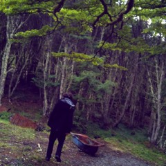 No Soy Lorenzo Gomez Oviedo