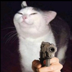 va1t0ast1e