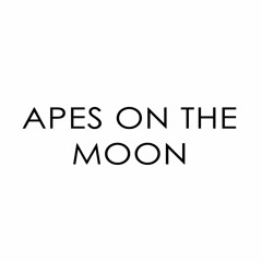 Apes On The Moon