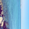 Fahad