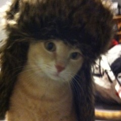 Naltious (@stainbone)