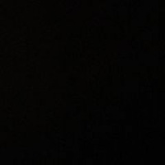 بدر التميمي