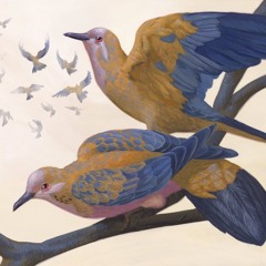 dovescape