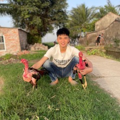 Phạm C. Lên