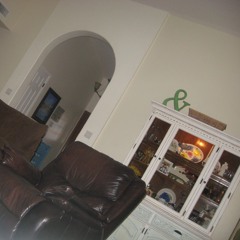 dead cat on the wall