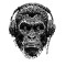 Kosmic Ape