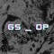 gs_dp