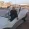 محمد العادلي