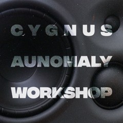 Cygnus Aunomaly Workshop