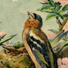 Split the Lark