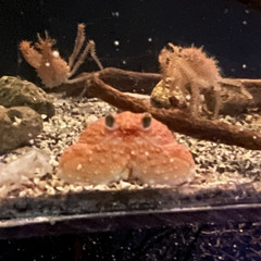 上里知徳