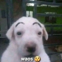 waos😲
