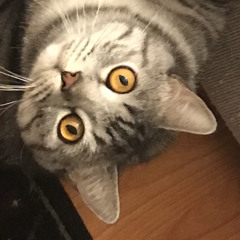 laracorn