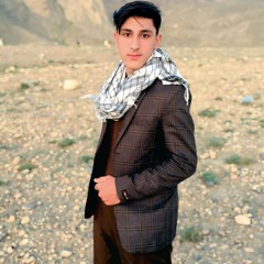 Naseem Shah 804