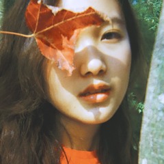 Lam Wing Sum