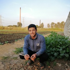 Ahmed Gamal