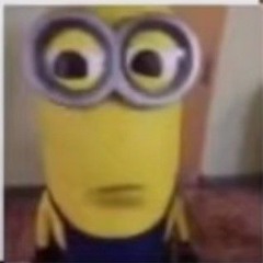 fjzjsjxhz