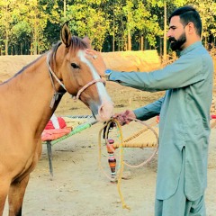 Vicky Bajwa