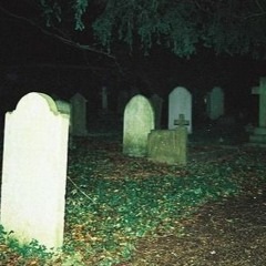 THE VAULT