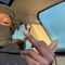 PFUCKINGE