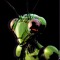 MANTIS