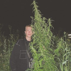 Янгплая