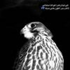 qxate22