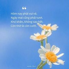 Như Quỳnh Võ